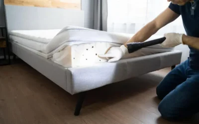 Dedetização de Percevejos de cama na Zona Oeste: métodos que realmente funcionam